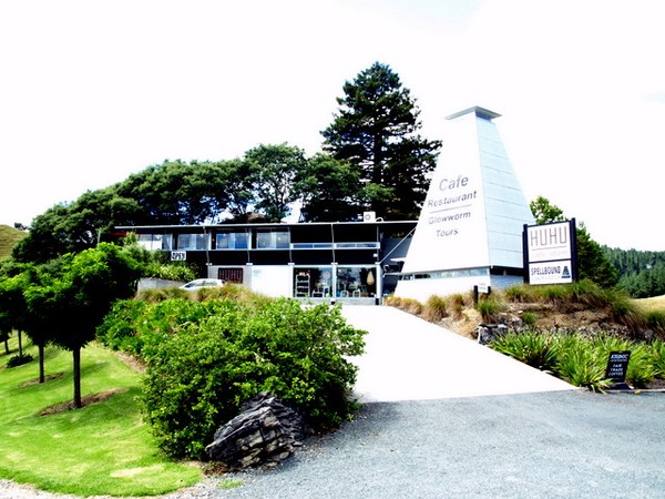 Famous HUHU Cafe in Waitomo on the market