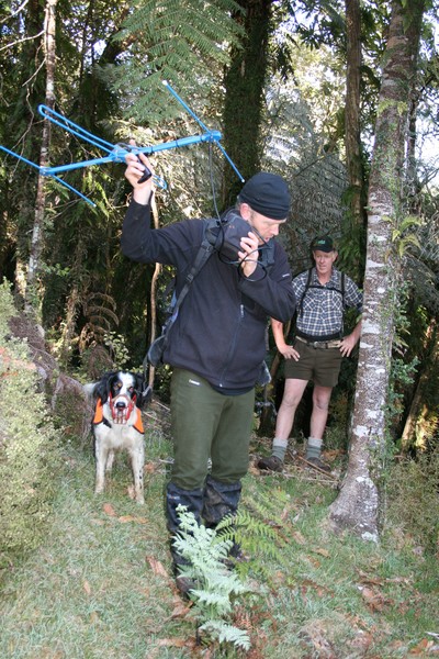 Dog handler James Fraser using radio gear to track down the male kiwi