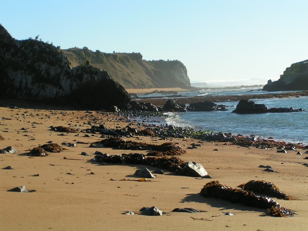 Moeraki beach