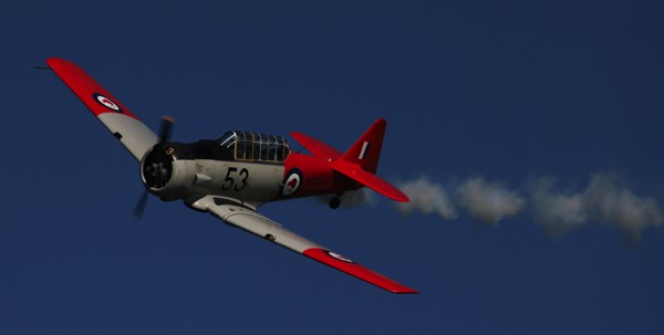 The blue skies were perfect for the aerial displays