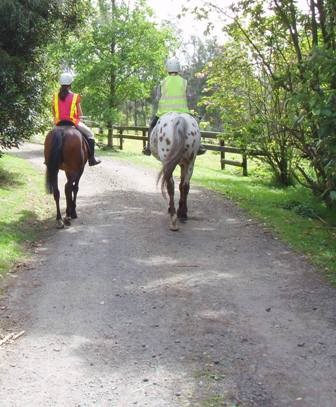 Horses have the right to share the roads 