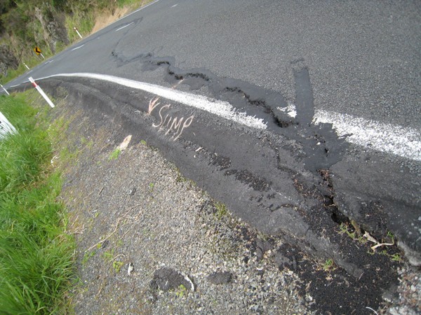 This large slip on Scenic Drive, near the Arataki Visitors� Centre, is among 15 sites identified as requiring restoration as soon as possible