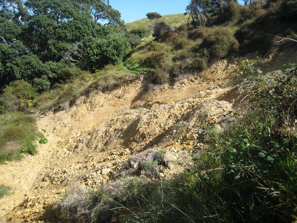 Track Washout