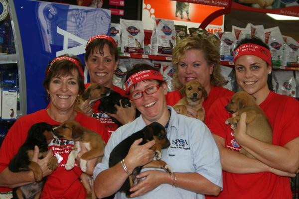 Te Kuiti SPCA's Second Chance for Love event at Atkinson's Vets, Te Kuiti.