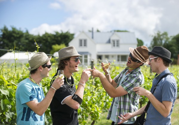 Toast Martinborough Wine Food and Music Festival