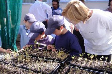 For 20 years school children throughout New Zealand have been growing native trees in specially designed growing units and planting them out on "at risk" land prone to slips. 