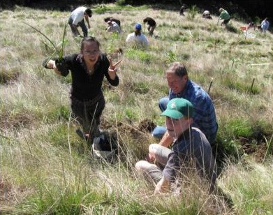 For 20 years school children throughout New Zealand have been growing native trees in specially designed growing units and planting them out on "at risk" land prone to slips. 
