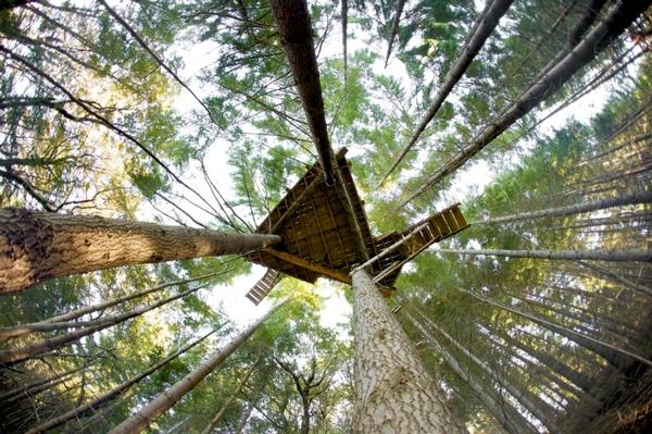 Ziptrek Ecotours treehouse from below  