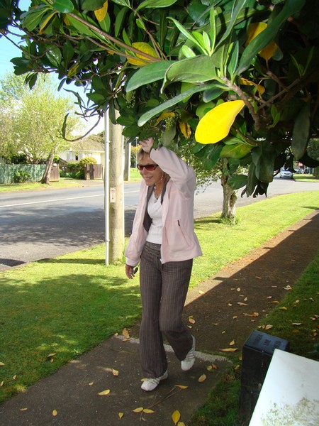 A local Franklin resident bends out of the way of a tree to make it along a footpath in Pukekohe
