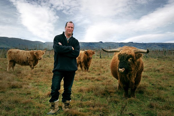 Urlar's Angus Thomson with the vineyard�s resident Highland cows