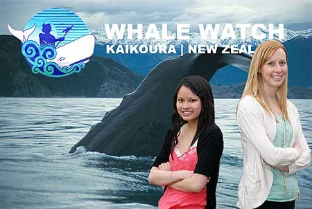 Whale Watch analysis wins accountancy contest