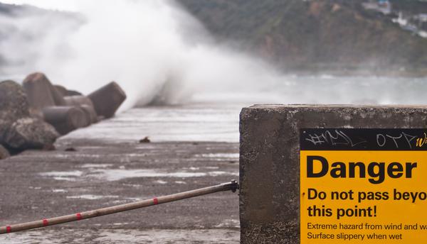 Windy Wellington