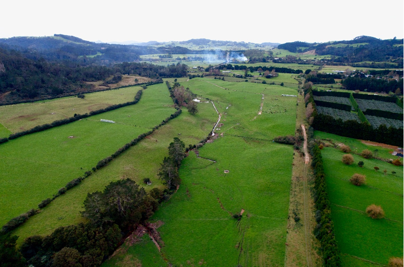 Unlocking the Potential of 1093 Tairua Whitianga Road: A Kiwifruit Growing Dream - Vimarsana News