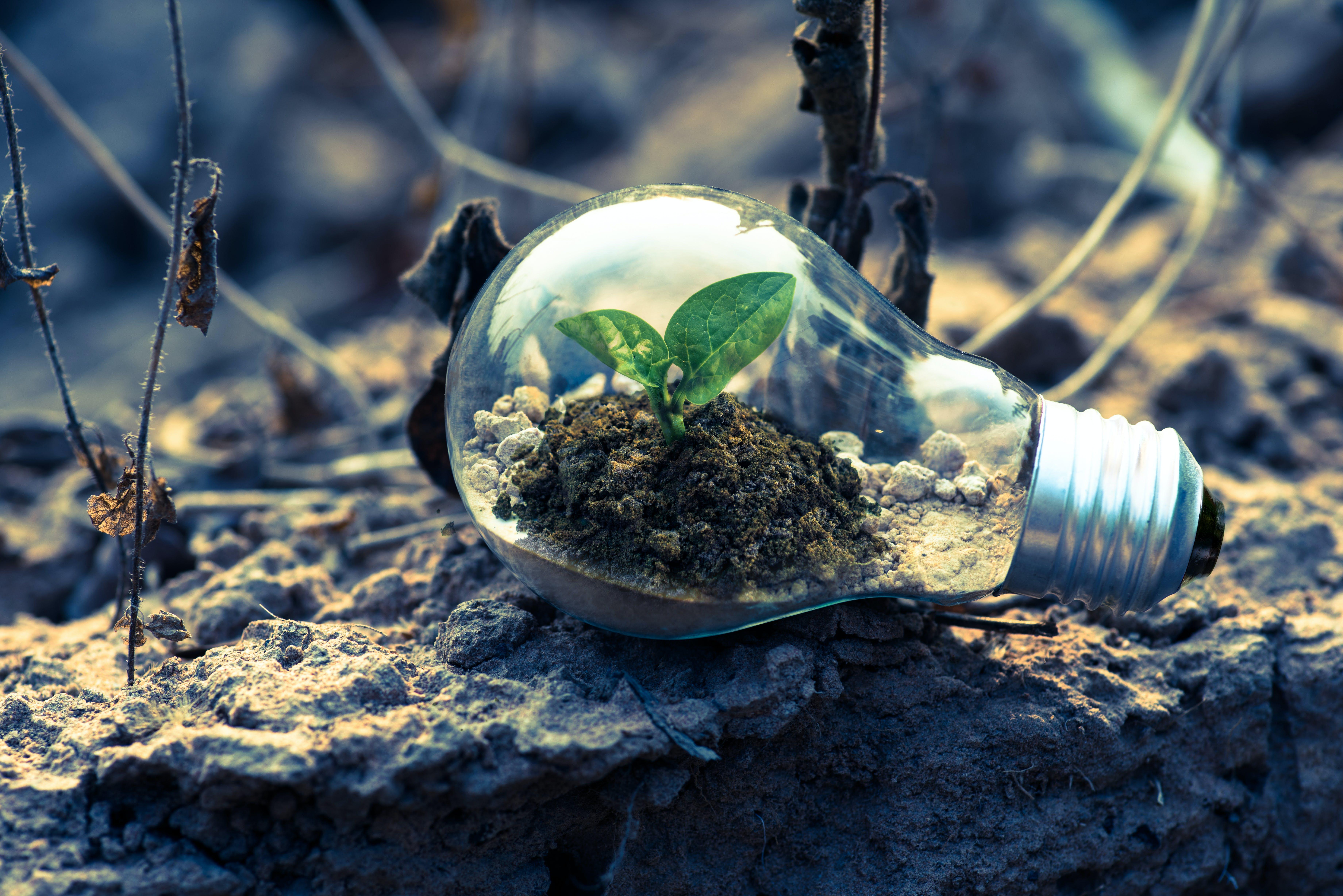 Soil Contamination and Remediation Efforts in New Zealand Urban Areas: An opinion piece by Hamilton-based soil scientist Dr. Gordon Rajendram - Vimarsana News