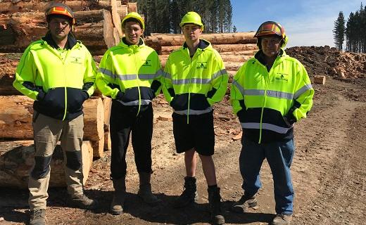 Te Waa Logging