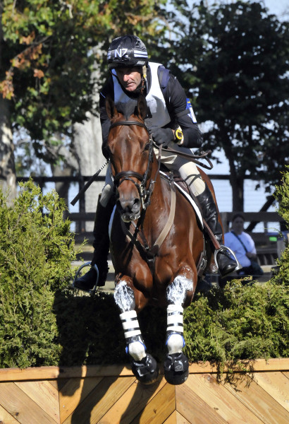 World Equestrian Games