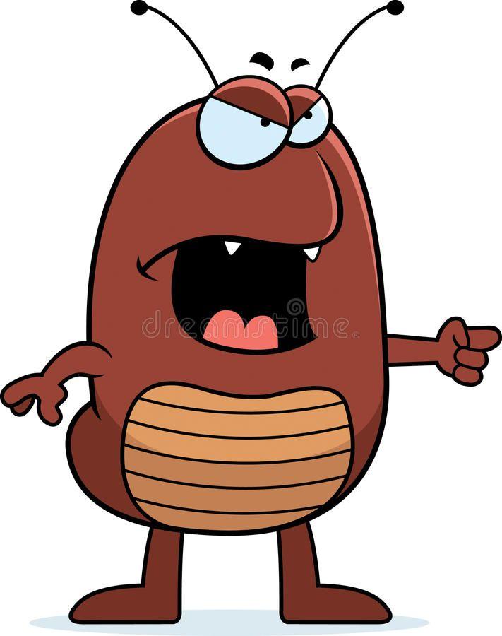 DIY Flea Pest Control for Auckland Homes: Effective Strategies - Vimarsana News