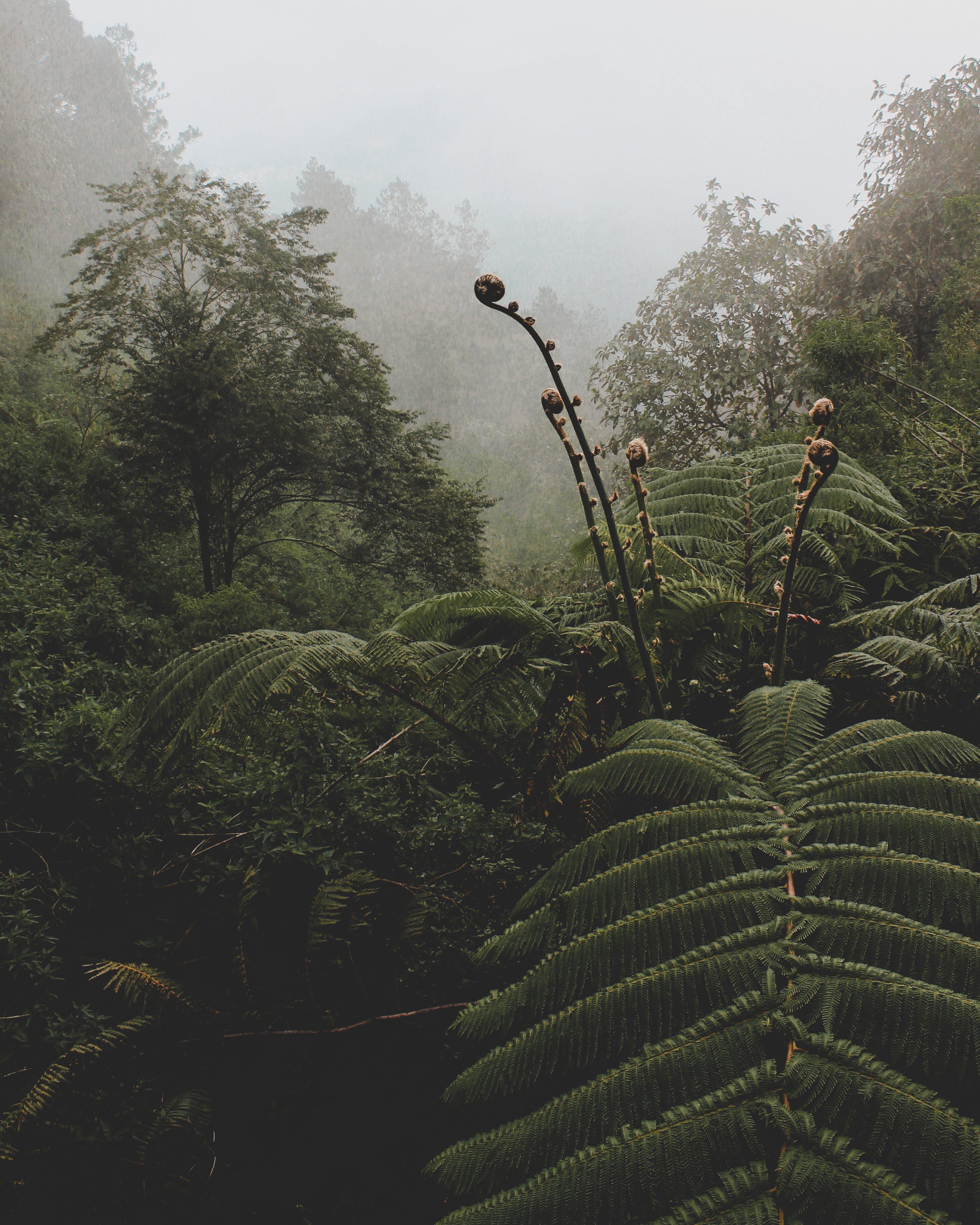 The Contribution of Māori Traditional Ecological Knowledge to Soil Science in New Zealand: An opinion piece by Hamilton-based leading soil scientist Dr Gordon Rajendram - Vimarsana News