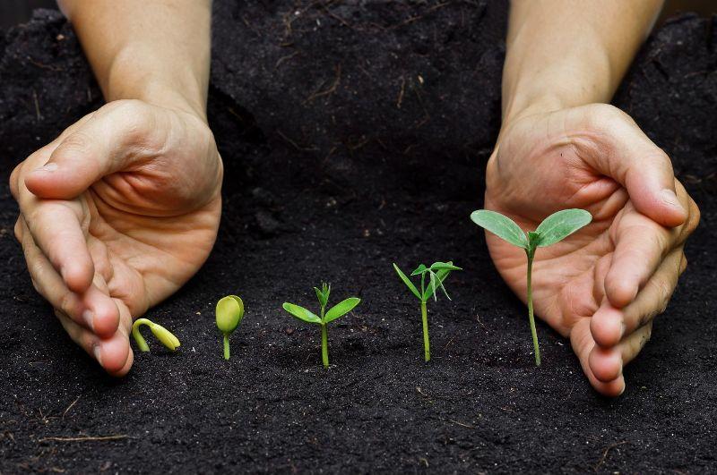 Marketing isn't expendable - it just takes time - Vimarsana News