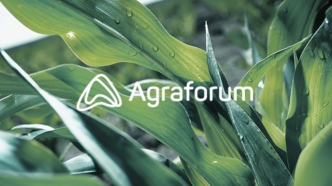 Agraforum NZ from Ashburton Are Set to Make Waves as First-Time Exhibitors at Waimumu Southern Field Days - Vimarsana News