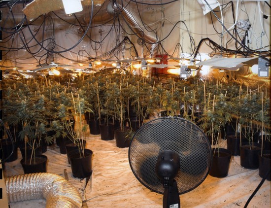 Drug fire fears - How many wires?
