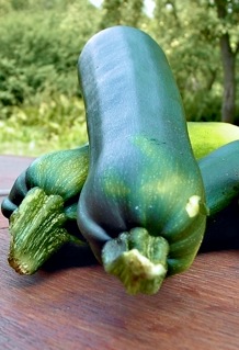 Courgette