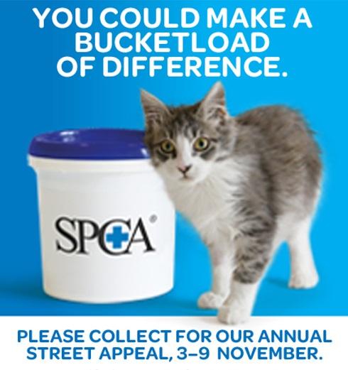 SPCA Waikato calls for support during Annual Street Appeal