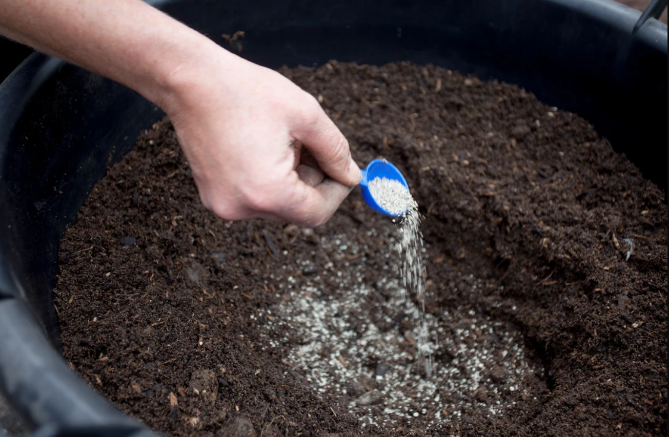 The Importance of Mycorrhizal Fungi in New Zealand's Native Ecosystems: Emphasising Soil Fertility and Farming Practices - Vimarsana News