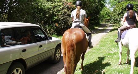 horses need room on the road