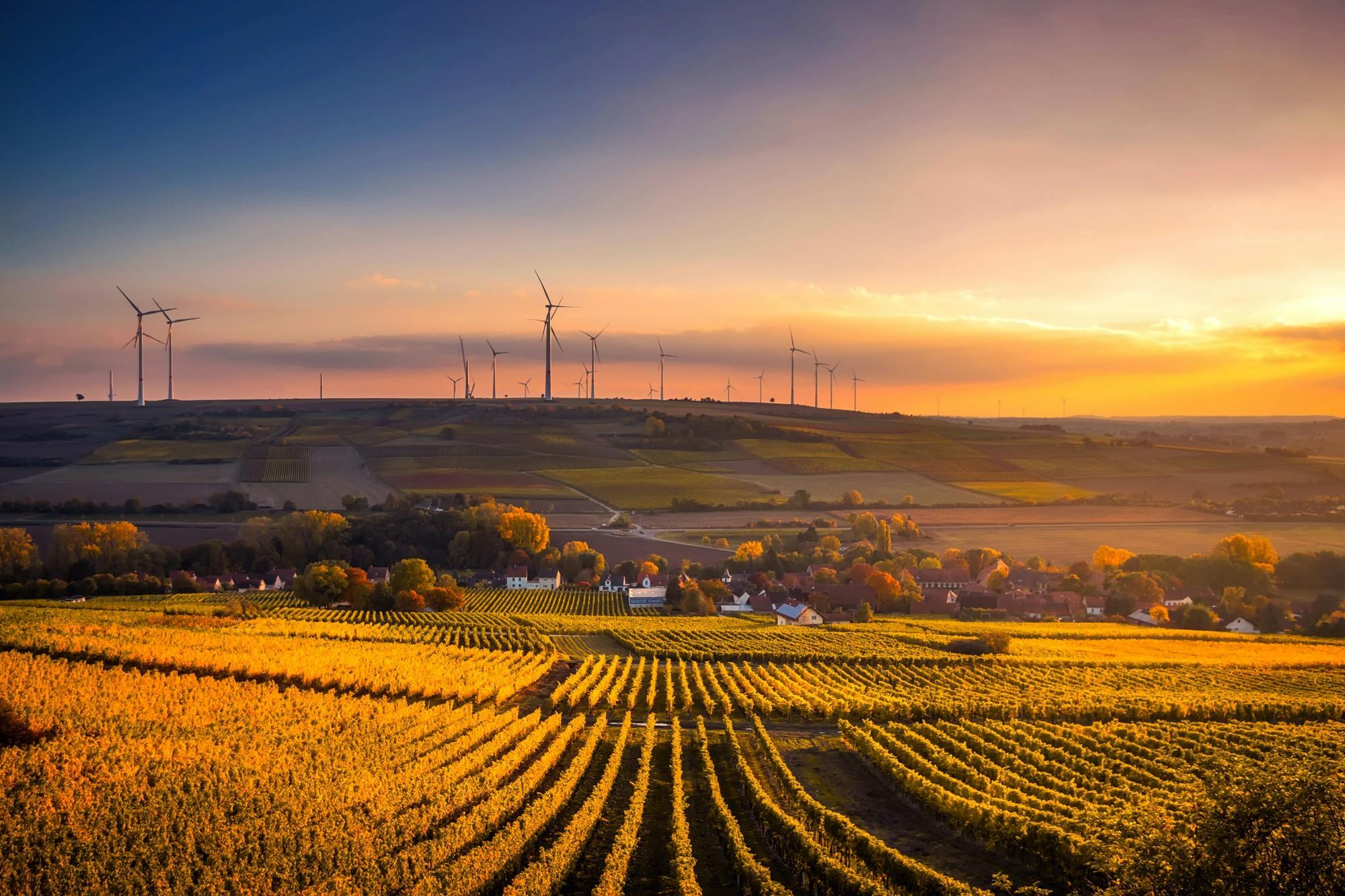 Canterbury's Agraforum New Zealand: 7 Key Points for Prosperous Farming - Vimarsana News