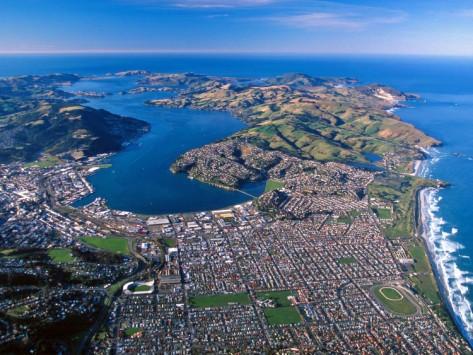 5 things to do in Dunedin &#8211; brought to you by Dunedin Palms Motel