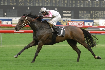 Fiumicino Fires for Karaka in Sydney