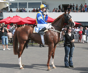 Group 1 Ford Diamond Stakes winner Fully Fledged. 