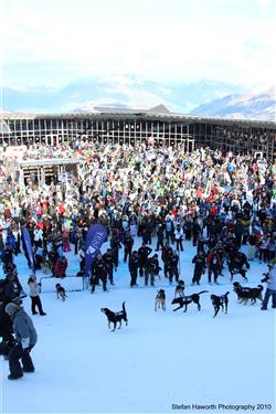 Farmers and their dogs at Coronet Peak.