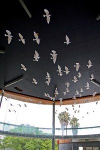 A skywalk offers visitors a bird's eye view of the atrium where 7 carved pou will look down on a giant stingray etched into a polished concrete floor.