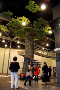 Far North District councillors and staff visited the nearly finished Te Ahu Centre on December 14.