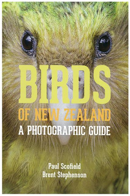 A definitive guide to New Zeland birdlife