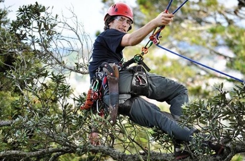 James Kilpatrick, 2011 national and Asia-Pacific champion, will defend his national title.