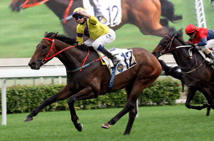 NZB South Island Sale graduate More Bountiful