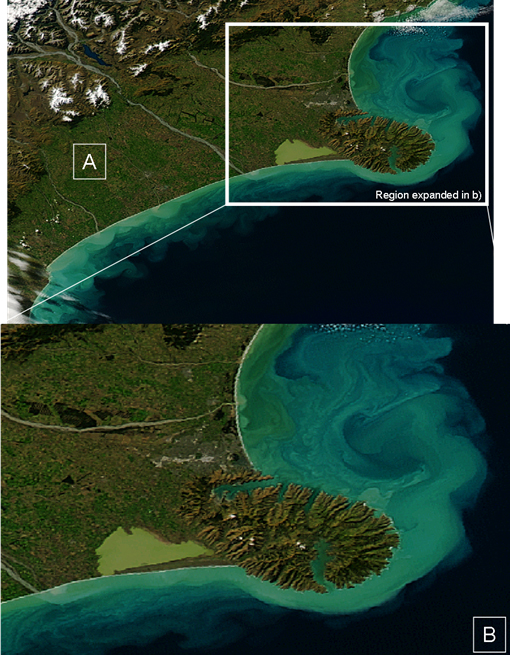 Where do river sediments go?