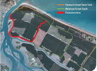 Rabbit Island Temporary Cycleway