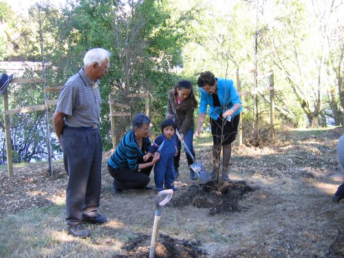 Members of local Hapu planting trees