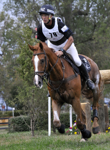World Equestrian Games