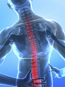 Back Pain &#8211; How to use myself?
