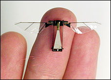 Dragonfly or Insect Spy? Scientists at Work on Robobugs.