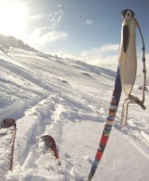 Fresh snow on Cardrona Alpine Resort, Wanaka