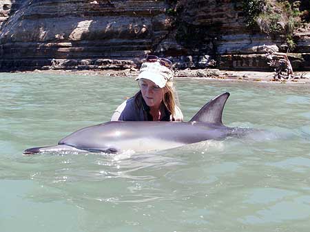 Department of Conservation worker Stephanie Watts with the injured dolphin before it died.