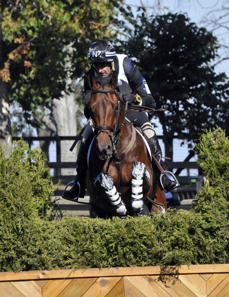 World Equestrian Games