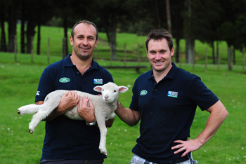 New Zealand versus France as Mehrtens takes on Saint-Andre at Sheepworld Farm in New Zealand