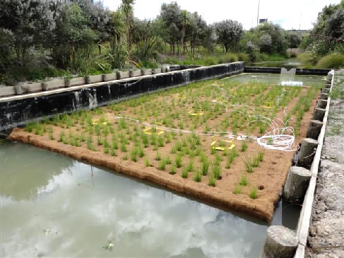 Floating Vegetated Island (FVI)